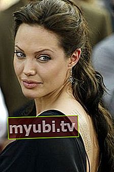 Angelina Jolie: Bio, Înălțime, Greutate, Vârstă, Măsurători