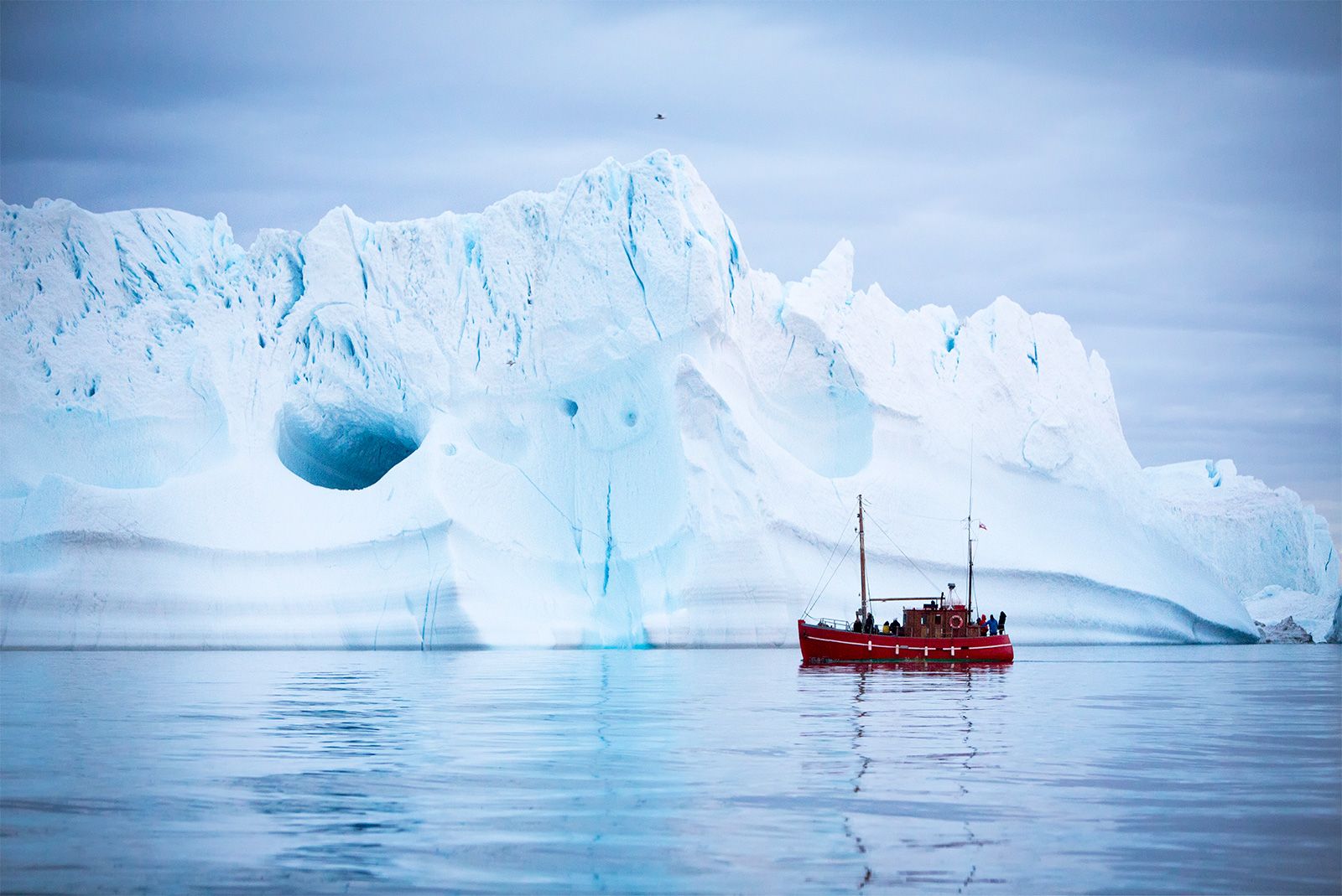 В середине 20 века антарктида для многих. Гренландия ледник Антарктида Арктика Гренландия. Арктика Антарктика Антарктида. Айсберги Гренландии. Ледокол в Антарктиде.