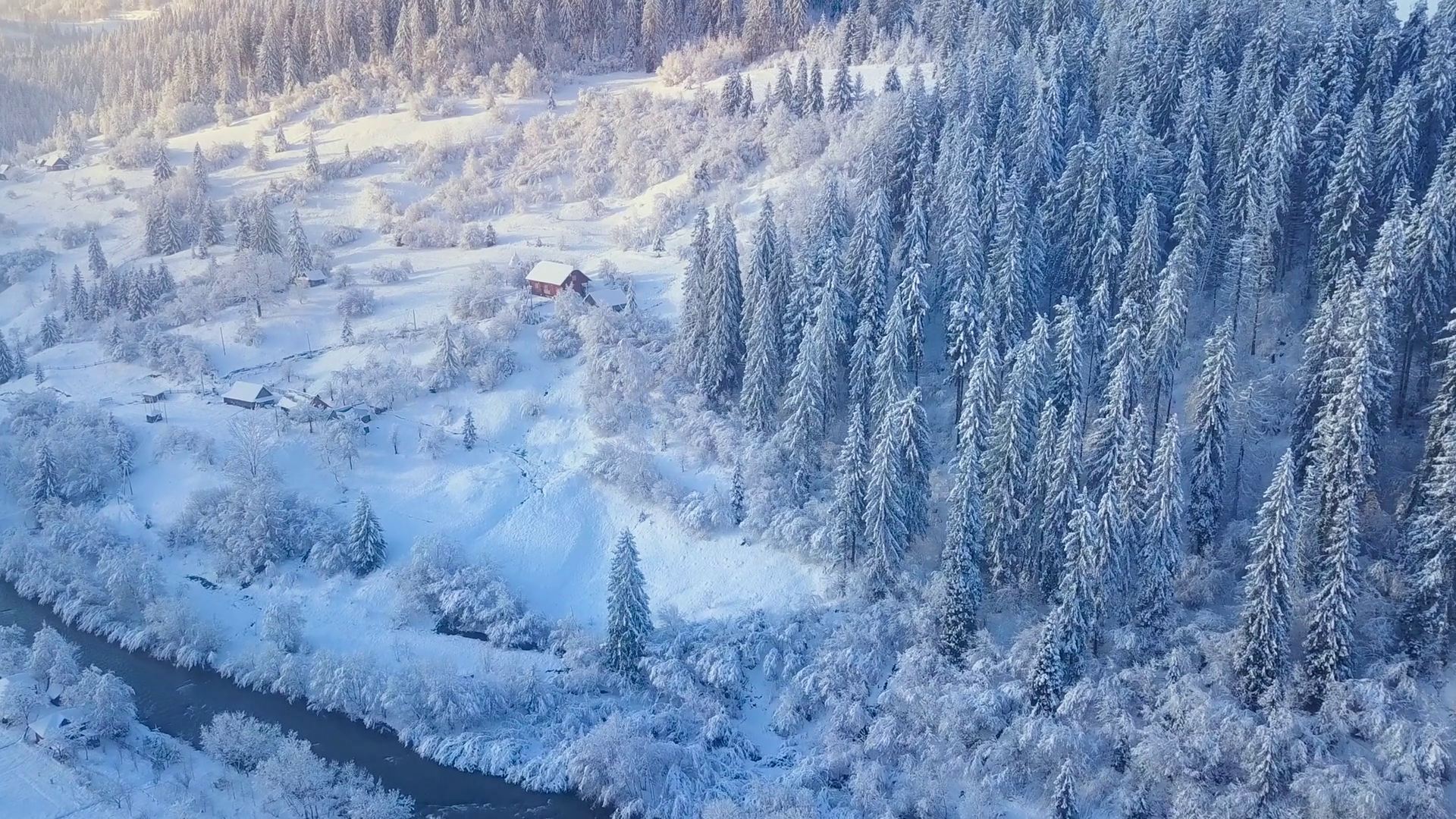 Хвойная температура. Coniferous Forest Winter. Coniferous Forest snowy. 2024 На снегу. Beautiful Winter Aerial.