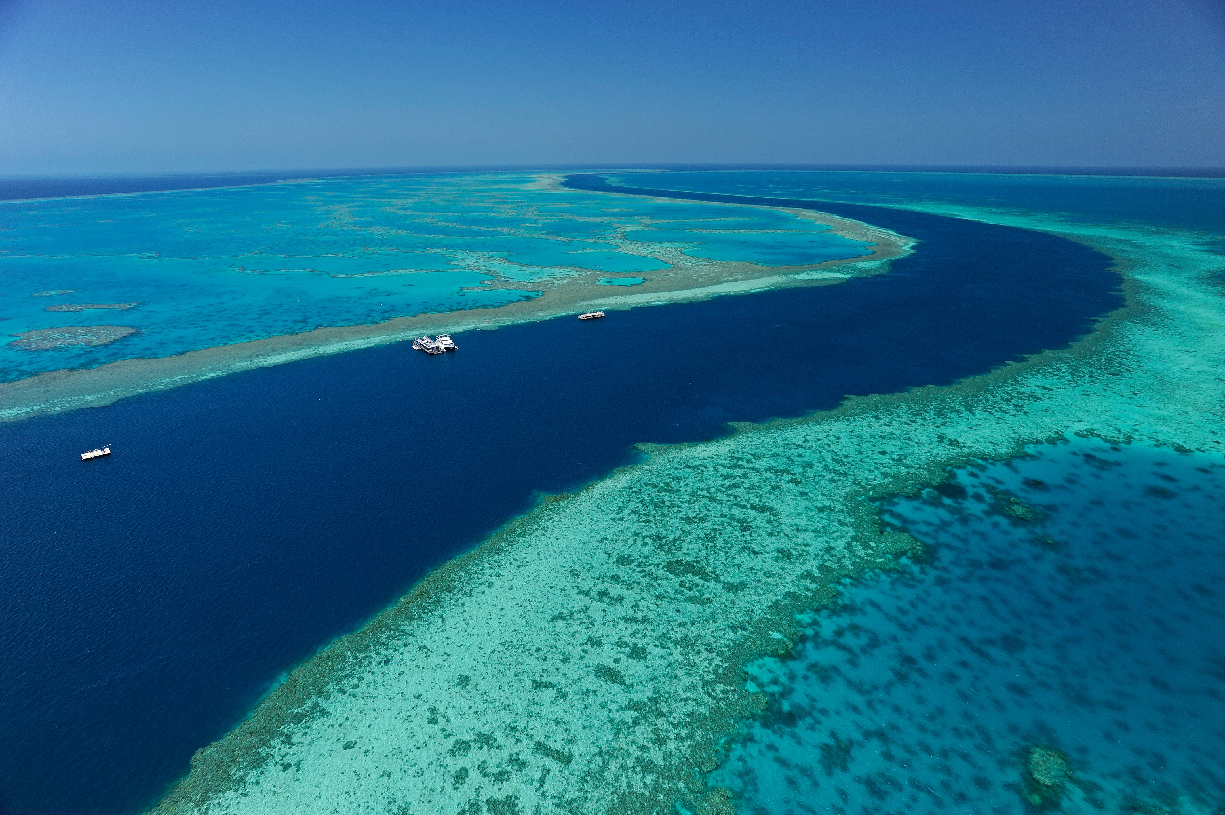 Какой остров расположен у берегов австралии. Большой Барьерный риф. Барьерный риф в Австралии. Большой Барьерный риф (Северо-Восточное побережье Австралии). Коралловый риф в Австралии.