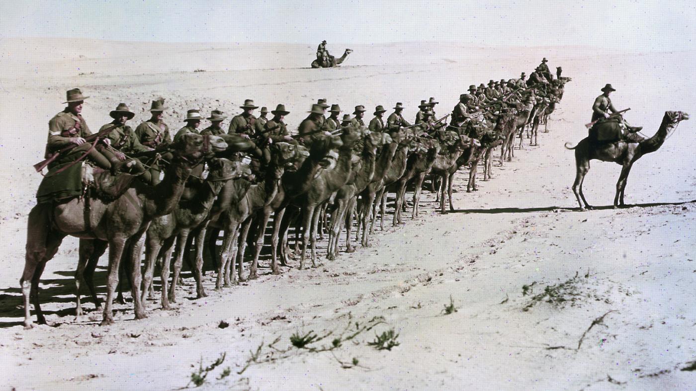 כיצד הובילו בריתות למלחמת העולם הראשונה