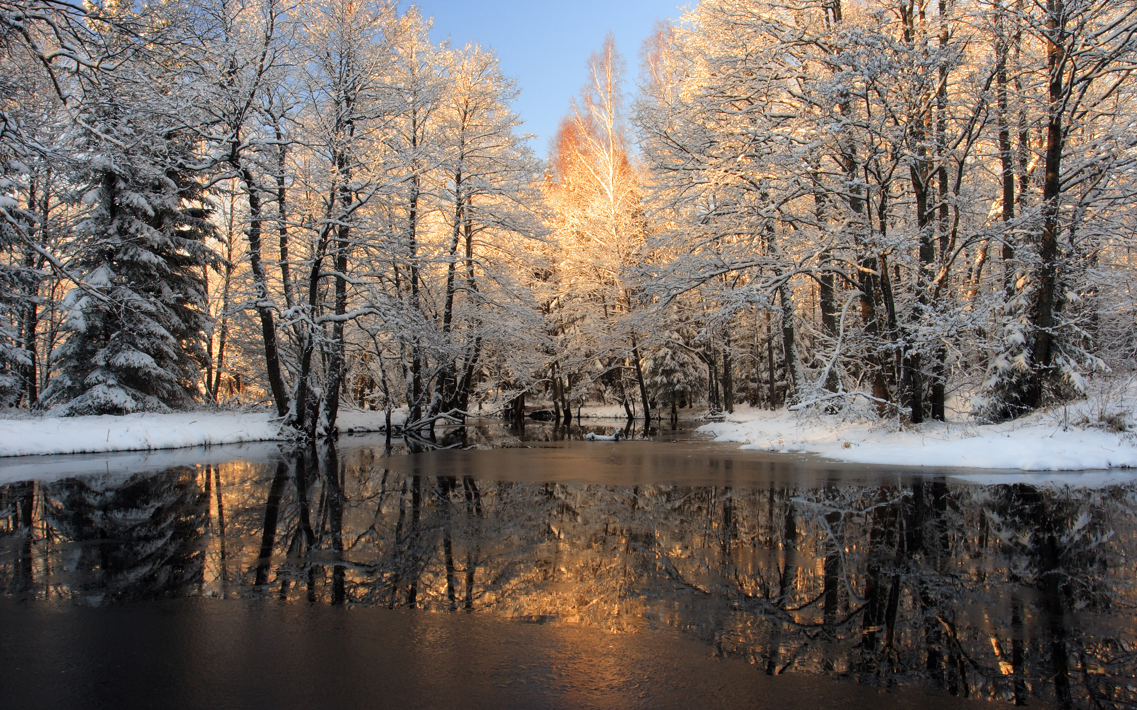 Звуки природы зимой. Ранняя зима. Зимний пейзаж. Зимняя природа.