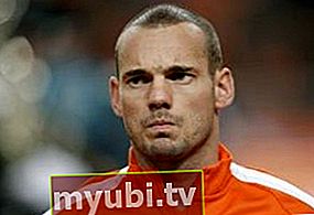 Wesley Sneijder: Bio, Înălțime, Greutate, Măsurători
