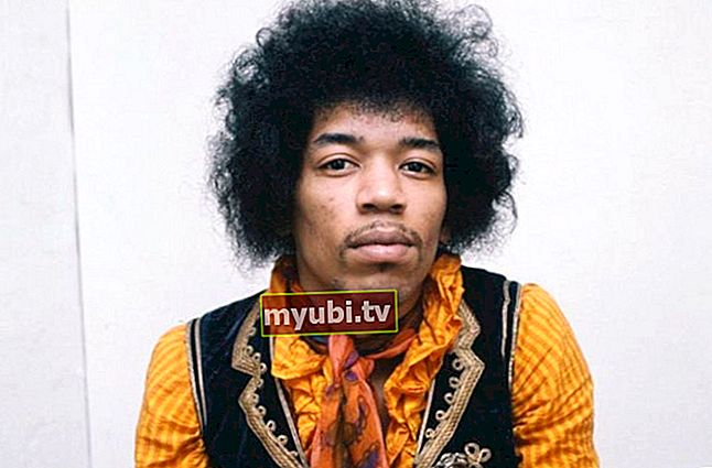 Jimi Hendrix: Biografija, visina, težina, dob, mjere