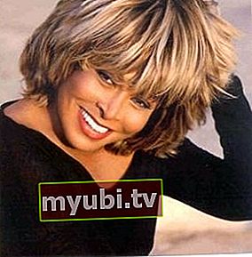 Tina Turner: Bio, Pituus, Paino, Mitat